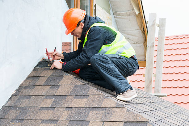 Best Roof Gutter Cleaning  in Edinboro, PA